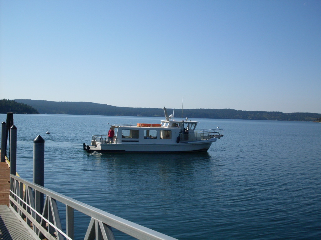 Water Taxi backing into dock